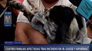 Callao: mueren varios perros durante incendio en solar