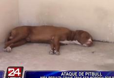 Chiclayo: feroz pitbull ataca y muerde a niña de 4 años
