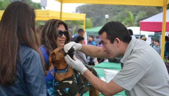 Lince inaugura este viernes consultorio veterinario municipal