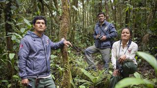 Guardianes del bosque: los guardaparques que estudian y conservan la naturaleza de la Amazonía