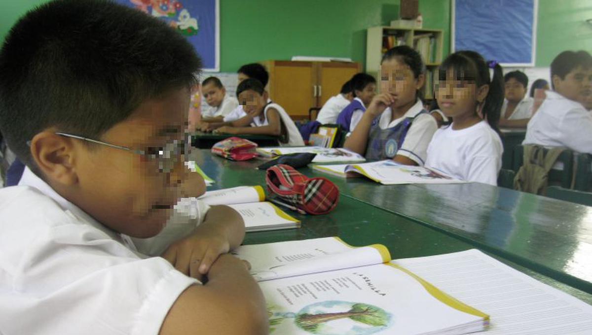 Ministerio de Educación reconoció que la revisión estaría afectando la distribución de los libros a las Unidades de Gestión Educativa (UGEL). (Imagen referencial/Archivo)