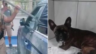 Brasil: la arriesgada acción de unos policías para rescatar a un perro encerrado dentro de un auto y a pleno sol