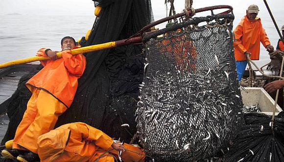 La escasez de anchoveta afecta a los pesqueros industriales