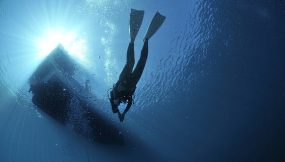 Un buzo narró su increíble historia de supervivencia tras volcar su bote y quedar varado tres horas en aguas infestadas de tiburones en Australia. | Crédito: Pixabay / Referencial