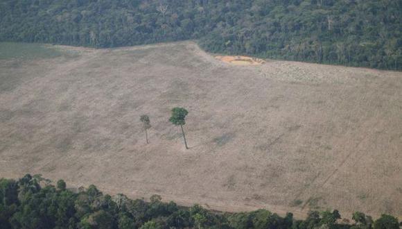Área deforestada de la selva amazónica cerca de Porto Velho, Brasil, el 14 de agosto del 2020. (REUTERS/Ueslei Marcelino).