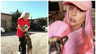 Padre de Lady Gaga pide ayuda para atrapar a los secuestradores de sus perros