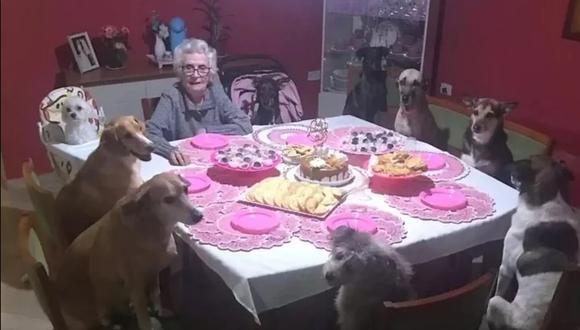Instagram viral: adulta mayor cumplió 89 años y lo celebró con unos invitados muy especiales: sus perros. (Foto: Instagram)