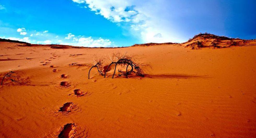 Los desiertos pueden absorber el dióxido de carbono.  (Foto: Moyan Brenn/Flickr)