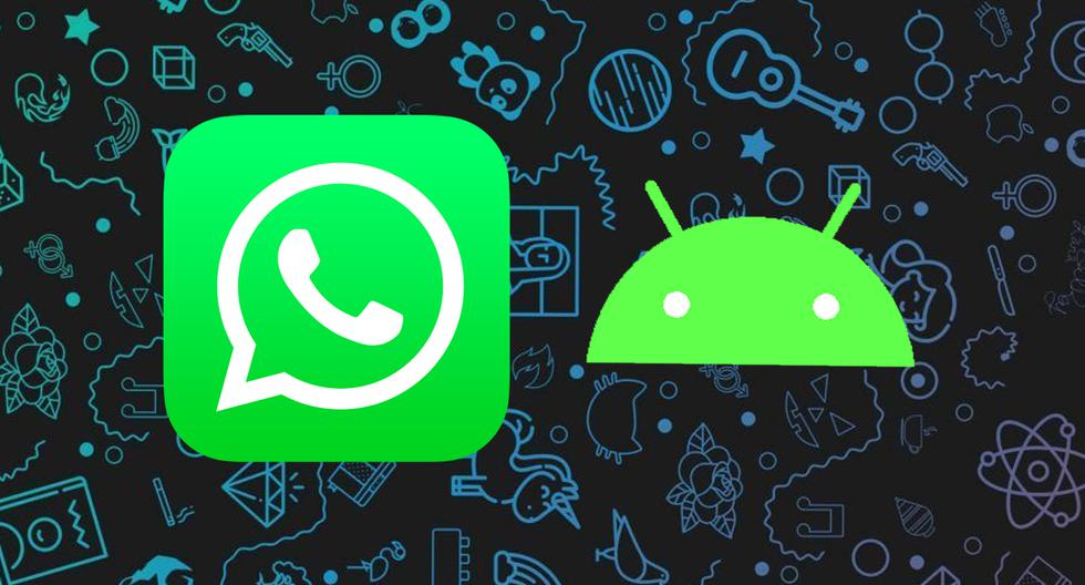 WhatsApp |  Know the list of Android mobile phones for which the application will not work |  Applications |  Smartphone |  Mobile phones  Tutorial |  Trick |  United States  Spain |  Mexico |  NNDA |  NNNI |  INFORMATION