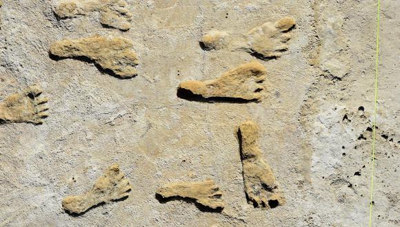 Esta imagen muestra huellas fosilizadas en Nuevo México. (Foto: Handout / National Park Service and Bournemouth University / AFP)
