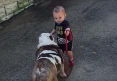 YouTube: bebé de 11 meses trata de sacar a pasear a su perro de 36 kilos | VIDEO