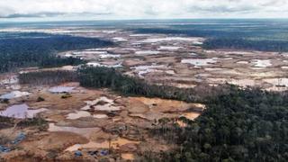 Noruega dará US$ 230 millones al Perú para luchar contra deforestación en la Amazonía