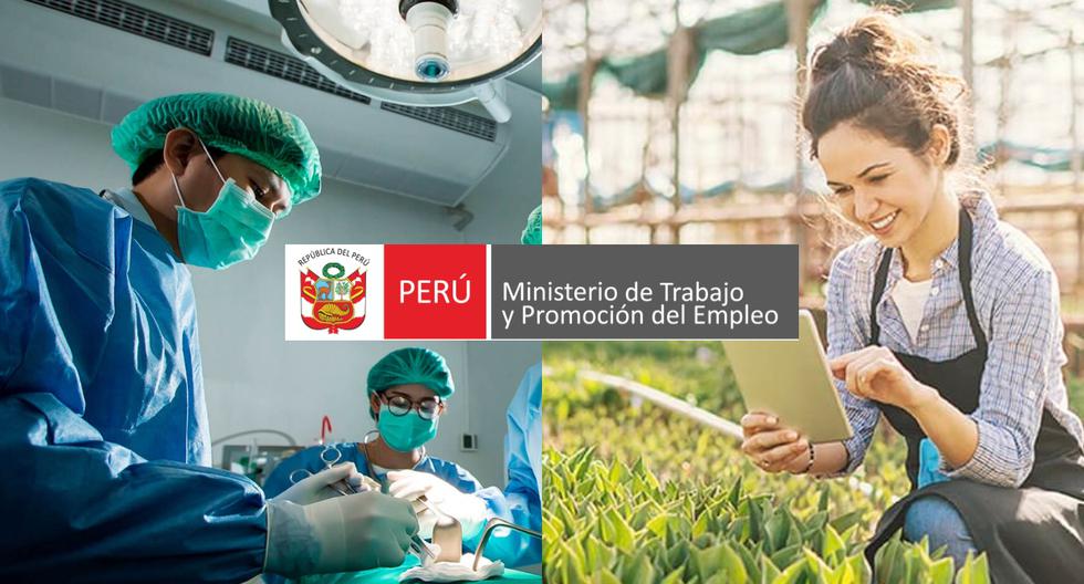 Find out about the 10 highest paying professions in Peru according to the Ministry of Labor |  Answers