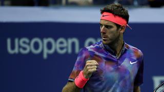 Juan Martín del Potro venció a Roger Federer en el US Open
