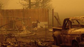 El mayor incendio forestal en la historia de California sigue creciendo