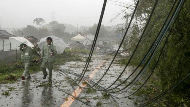 Los  cables eléctricos caídos después de un tornado causado por el tifón en Ichihara. (Foto: EFE).