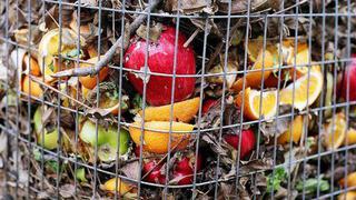 La primera cumbre mundial de gastronomía clama contra el derroche de alimentos