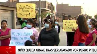 Puente Piedra: niño de 8 años que jugaba en la calle con sus amigos fue atacado por perro pitbull y se encuentra internado 