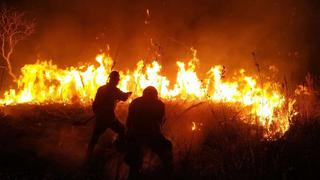 Bolivia: más de un millón de hectáreas se han perdido por incendios forestales 