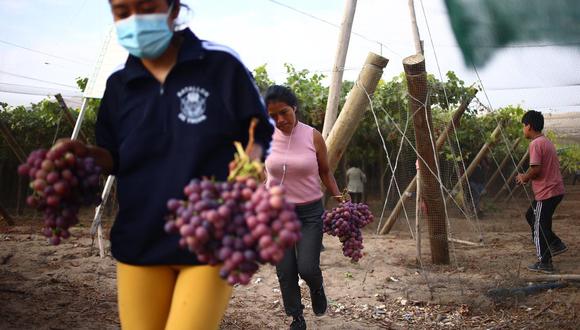 “La nueva ley debería generar las condiciones mínimas para que las empresas sean sostenibles y los trabajadores reciban (y perciban) los beneficios de la formalidad”. (Foto: Hugo Curotto/GEC).