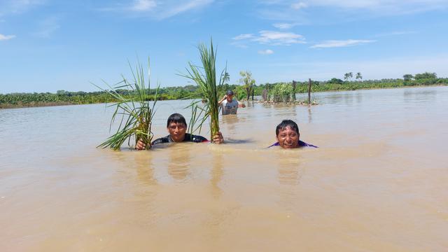 Las lluvias continúan generando repercusiones en Piura. (Foto: Eddyn Nole)