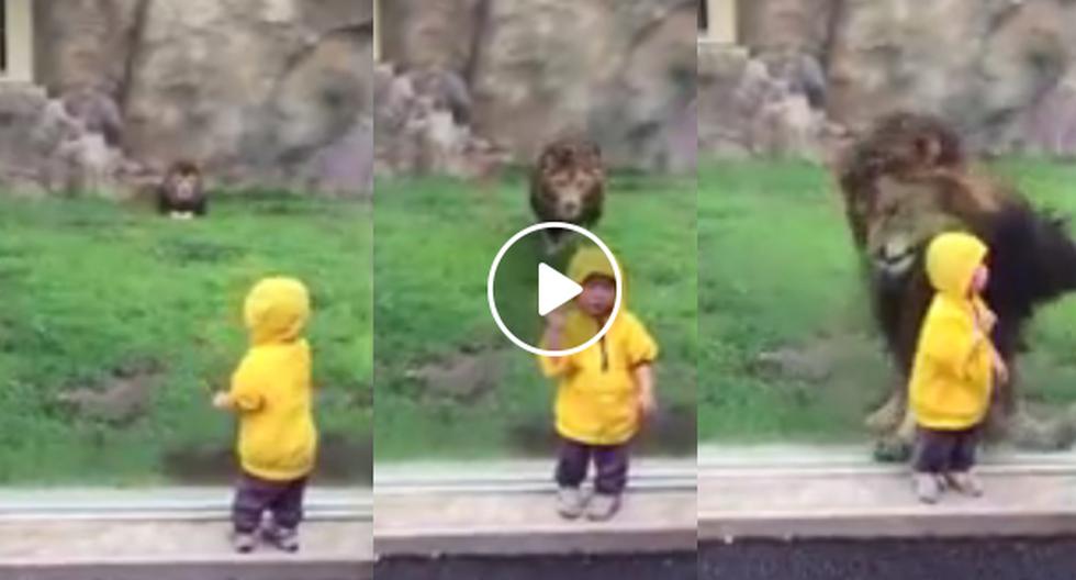 Este video de YouTube nos muestra cómo un león atacó a un pequeño bebé que se salvó de milagro de una muerte segura. (Foto: captura)