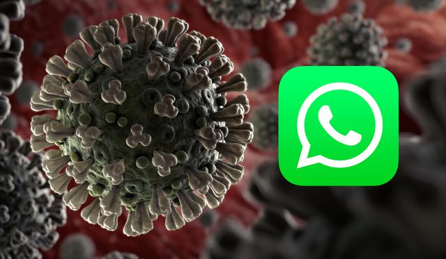 De esta forma WhatsApp enfrenta el coronavirus y las noticias falsas difundidas en su plataforma. (Foto: OMS)