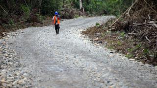 Alerta por expansión de caminos forestales en la Amazonía
