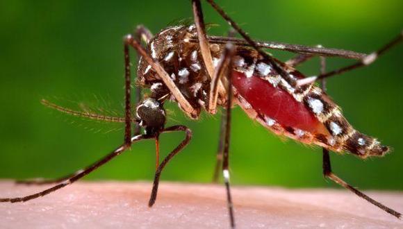 Hallan indicios de posible transmisión sexual del virus zika