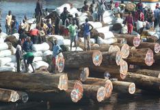 Comercio de madera ilegal amenaza con deforestar Mozambique