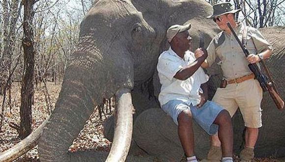 Zimbabue: alemán mató a elefante considerado "tesoro nacional"