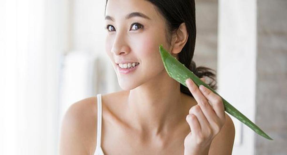 usos del aloe vera para el rostro ¡Te sorprenderá! | MUJERES | PERU.COM