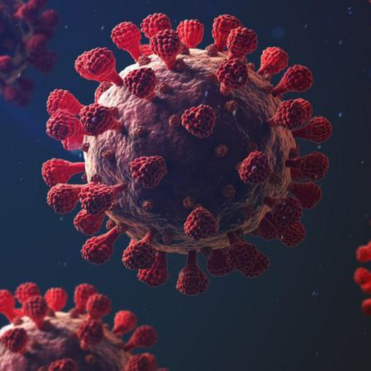 Coronavirus: 5 características que hacen tan mortal el COVID-19 | |  TECNOLOGIA | EL COMERCIO PERÚ