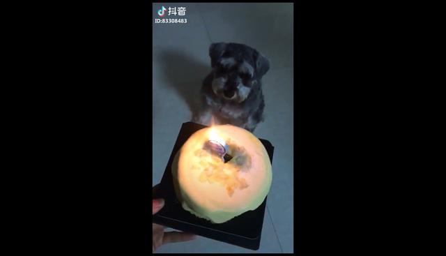 Esta niña china enternece las redes al cantar singular versión del "Happy birthday to you" a su perrito. (Facebook)