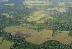 El planeta perdió una superficie de bosques tropicales del tamaño de Suiza en 2022