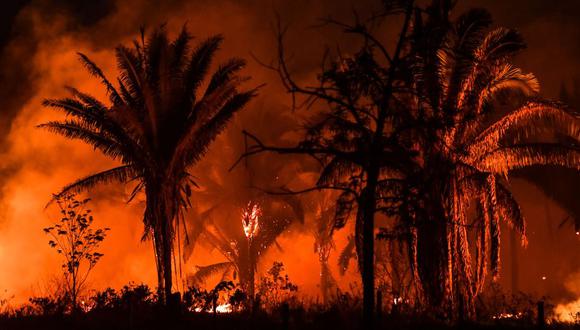 Los incendios en la Amazonía aumentaron un 30%, al pasar de 68,345 en el 2018 a 89,178 el año pasado. (Foto: Archivo/AFP).