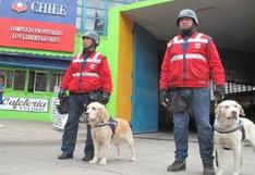 Chile: Aduanas reforzará control fronterizo por Copa América 2015