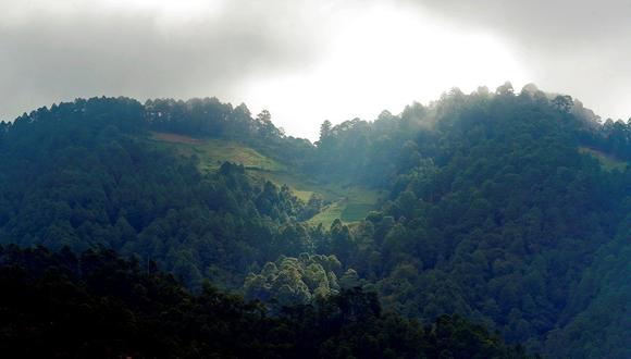 Fotografía general de un mirador, en una zona de amortiguamiento de un bosque en Tegucigalpa, Honduras. (Foto de archivo: EFE/ Gustavo Amador)