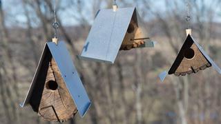 Adorna tu hogar con estas originales casas para pájaros