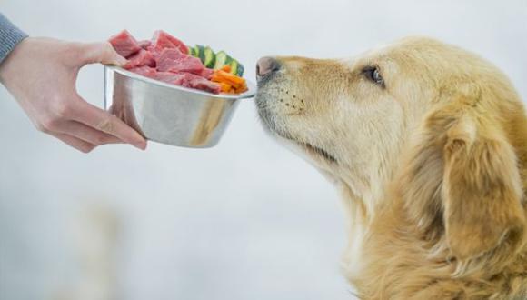 Los defensores de la comida cruda para mascotas aseguran que sus beneficios son mayores y que la naturaleza de los animales hace que no estén preparados para los alimentos procesados. (Foto: Getty)
