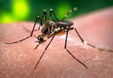 EEUU confirma relación directa entre zika y la microcefalia