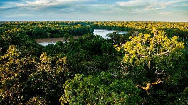 Riqueza natural: Descubre la Reserva Nacional Tambopata - 1
