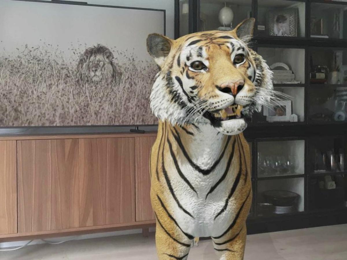 Animales 3D de Google: cómo grabarlos mientras los ves