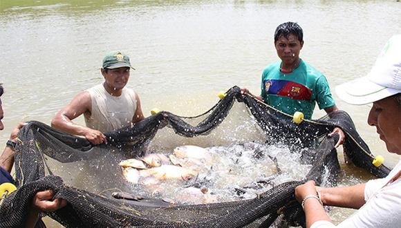 Cofinancian proyectos de innovación en pesca y mype. (Foto: Produce)