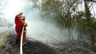 San Martín: incendios forestales afectan campos de cultivos