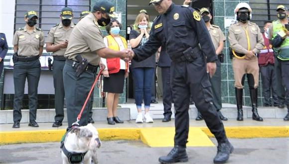 El can, víctima de maltrato animal, fue rescatado por la PNP gracias a la denuncia de vecinos de un condominio. (Foto: Mininter)