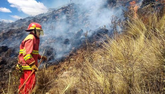 En lo que va del año han ocurrido 38 incendios forestales según el Centro de Operaciones de Emergencia Nacional. Foto: Agencia Andina.