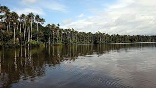 Lago Sandoval: cuatro motivos para visitar este hermoso lugar en la selva | FOTOS