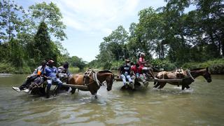 ¿Cómo es El Darién, una de las selvas más peligrosas del mundo en la que se internan caravanas de migrantes?