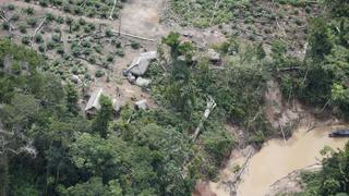 Sierra del Divisor: estas son sus principales amenazas [FOTOS]